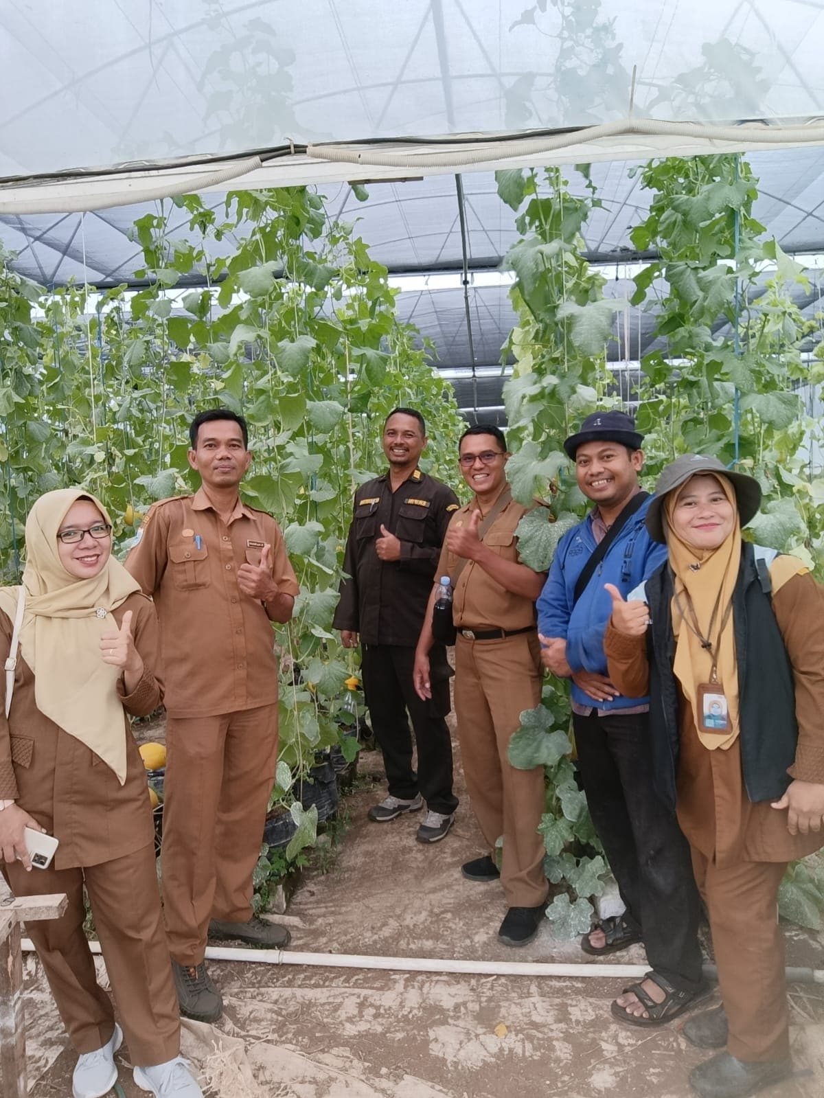 Komitmen Pengembangan Melon Pandeglang