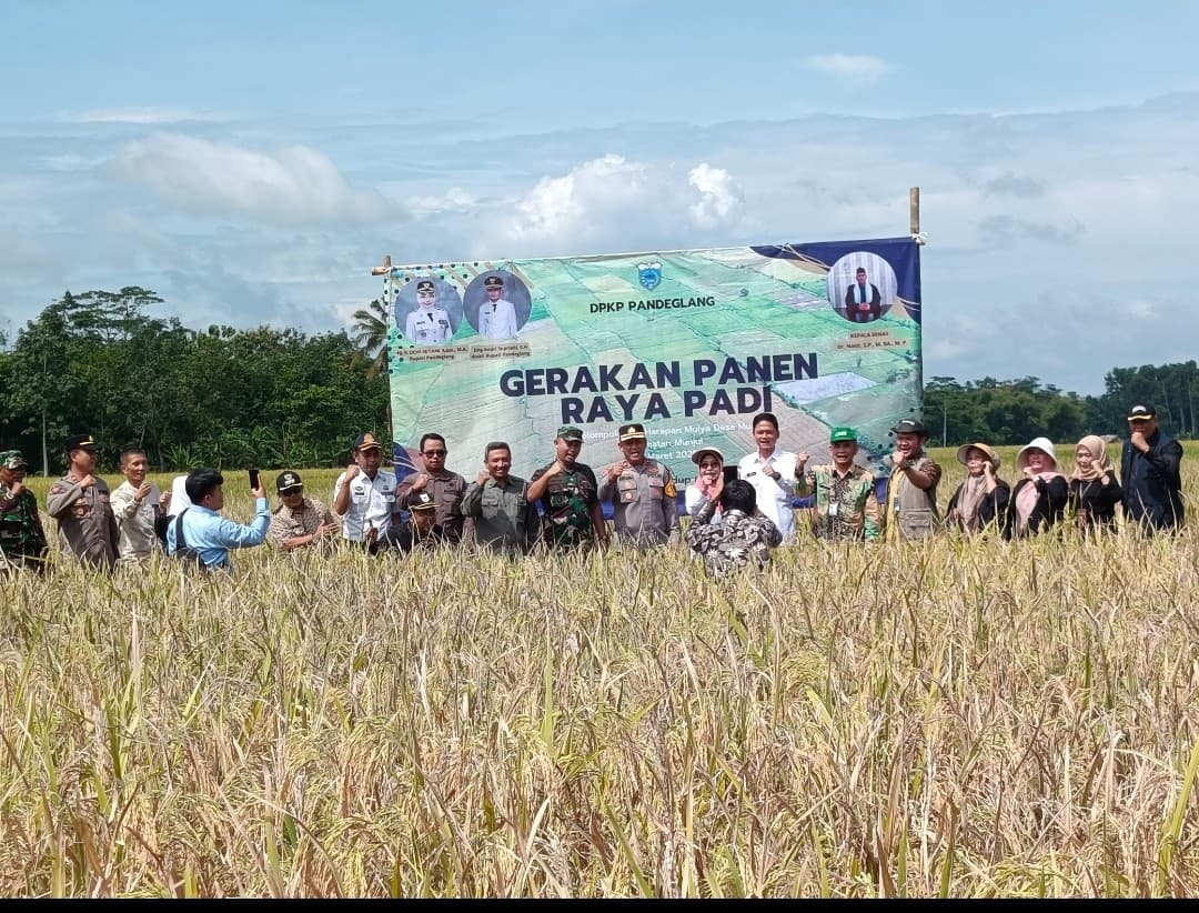 PANEN RAYA PADI DI DESA MUNJUL: SINERGI PEMERINTAH DAN PETANI UNTUK KETAHANAN PANGAN
