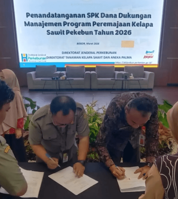 Perkuat Program Peremajaan Sawit, DPKP Pandeglang Jalin Sinergi Strategis dengan Ditjen Perkebunan